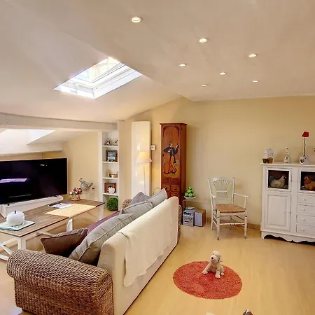 Henri Camille Real Estate - Roof - 2 Bedrooms Downtown W Rooftop Cannes